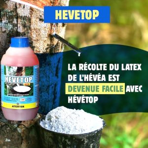 Régulateur de croissance HEVETOP 50 PA – Hévéa