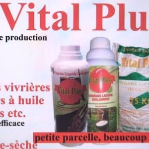 Engrais foliaire Bio VITAL PLUS 1 litre – Palmier à huile