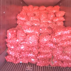 OIGNON Marocain 25 kg