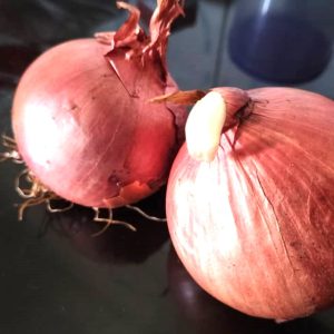 OIGNON Marocain 25 kg