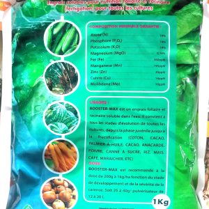 Engrais granulé soluble BOOSTER-MAX NPK 19.19.19 1 kg – Toutes les cultures