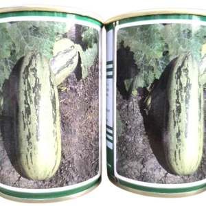 Semence de COURGETTE KOUBERA 100 gr