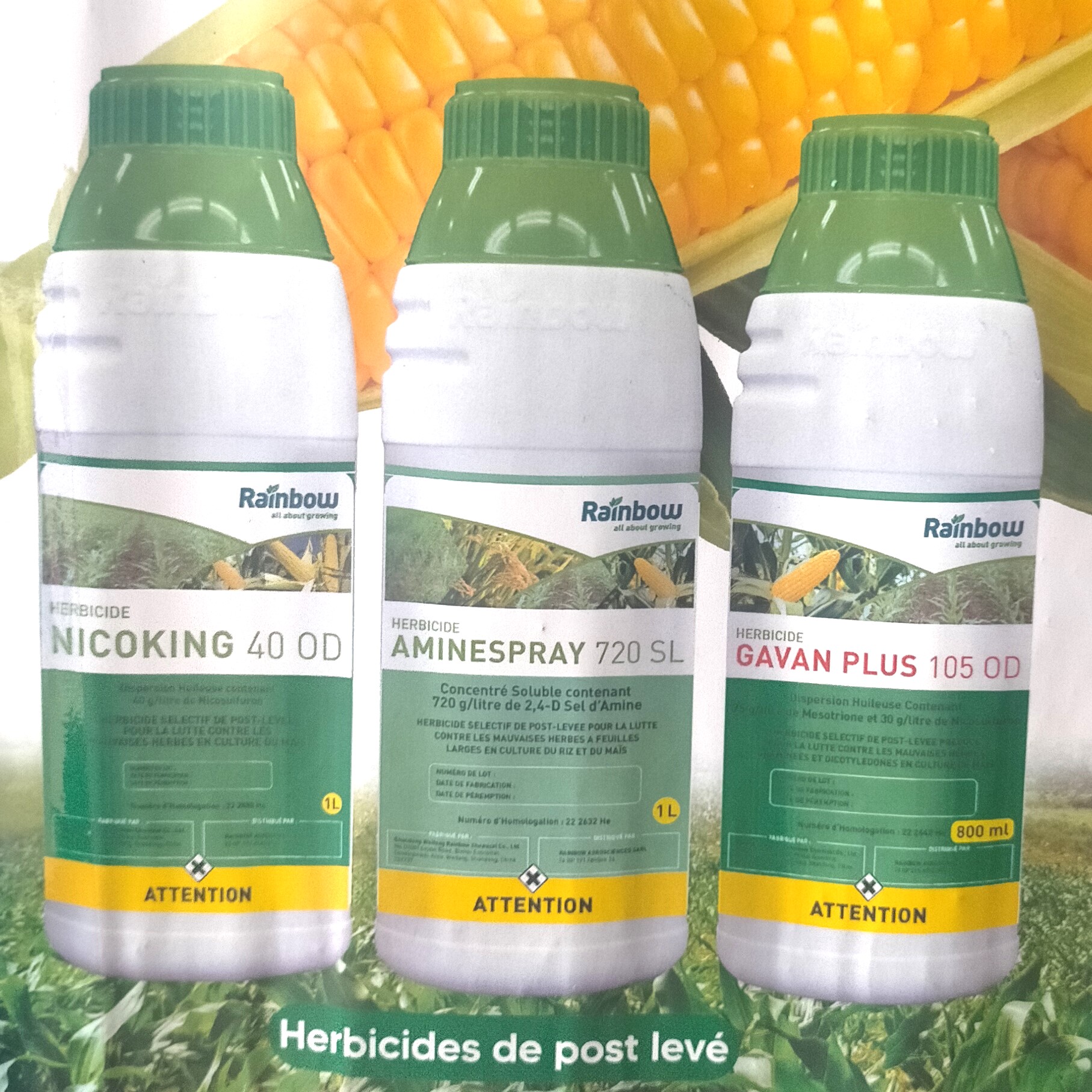 Herbicide liquide sélectif de post-levée NICOKING 40 OD 1 litre – Maïs