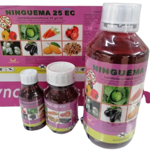 Insecticide liquide NINGUEMA 25 EC 100 ml – Cultures maraichères