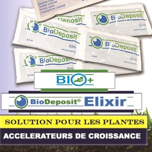 Engrais foliaire 100% bio BIODEPOSIT EXILIR 12 ml – Toutes les cultures