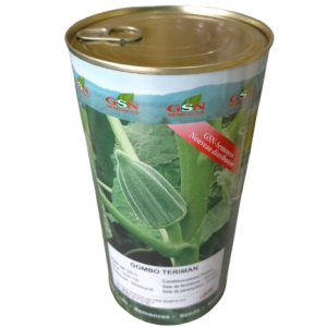 Semence de GOMBO TERIMAN 500 gr