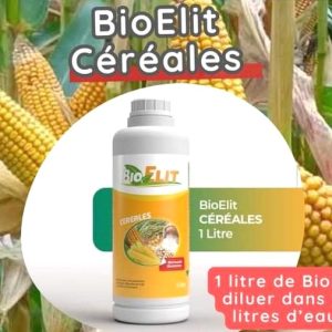 Insecticide liquide 100% Bio BIOELIT 1 litre – Type Maïs