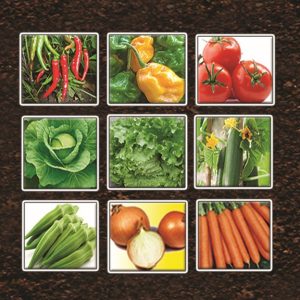 Engrais foliaire et racinaire Bio-organique BIODEPOSIT ELIXIR 12 ml – Cultures maraichères et vivrières