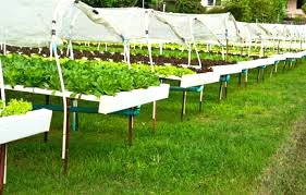 Engrais granulé 100% Bio BIODEPOSIT AGRO 10 kg – Hors sol sous serre