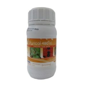 Insecticide liquide PYRICAL 480 EC 250 ml – Cultures maraichères et fruitières