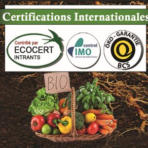 Engrais foliaire et racinaire 100% Bio BIODEPOSIT ELIXIR 12 ml – Cultures maraichères et vivrières