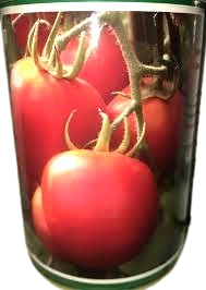 Semence hybride de TOMATE F1 COBRA 26 50 gr