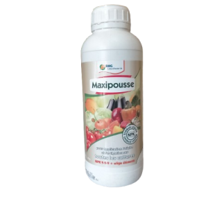 Engrais foliaire MAXIPOUSSE NPK 9-9-9 1 litre – Toutes les cultures