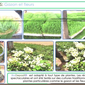 Engrais granulé 100% Bio BIODEPOSIT AGRO 10 kg – Fleurs, gazons