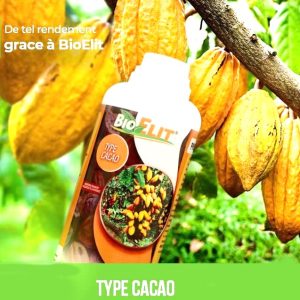 Bio-fongicide liquide BIOELII 1 litre – Type Cacao