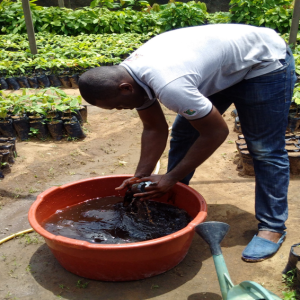 Engrais foliaire et racinaire 100% Bio BIODEPOSIT ELIXIR 12 ml – Pépinières des cultures