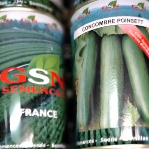 Semence hybride de CONCOMBRE F1 TOKYO 50 gr GSN