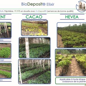 Engrais foliaire et racinaire 100% Bio BIODEPOSIT ELIXIR 12 ml – Piment