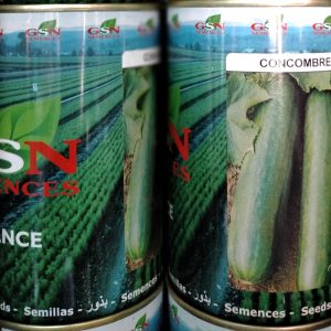 Semence hybride de CONCOMBRE F1 TOKYO 50 gr GSN