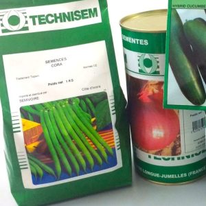 Semence de HARICOT VERT CORA 1 kg Technisem