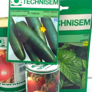 Semence de CORETE 10 gr