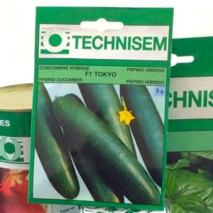 Semence hybride de CONCOMBRE F1 TOKYO 5 gr