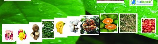 Engrais granulé 100% Bio BIODEPOSIT AGRO 10 kg – Cultures maraichères