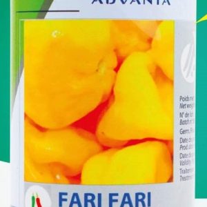 Semence de PIMENT FARI FARI 50 gr