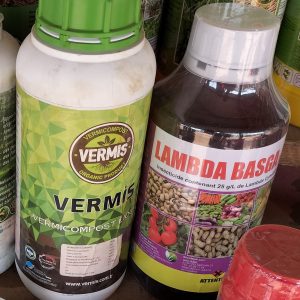 Insecticide liquide LAMBDA BASGA 25 EC 1 litre – Cultures maraichères