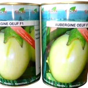 Semence hybride d&rsquo;AUBERGINE OEUF F1 50 gr