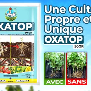 Nématicide granulé OXATOP 50 GR 1 kg – Palmier à huile, cultures maraichères, banane