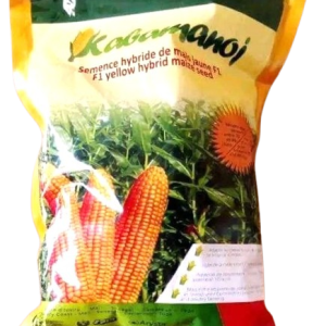 Semence hybride de MAIS JAUNE KABAMANOJ F1 5 kg