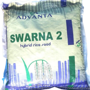 Semence hybride de RIZ SWARMA 2 F1 5 kg