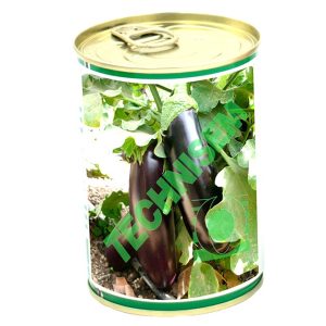 Semence hybride d&rsquo;AUBERGINE EUROPENNE MELINA F1 50 gr