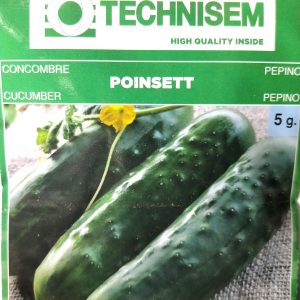 Semence de CONCOMBRE POINSETT 5 gr Technisem