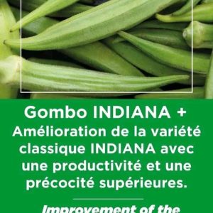 Semence de GOMBO INDIANA+