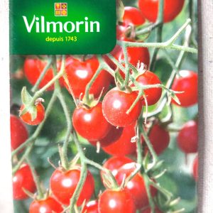 Semence de TOMATE CERISE 2 gr