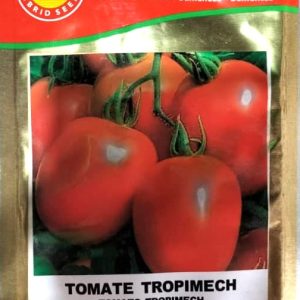 Semence de TOMATE TROPIMECH 10 gr AHS