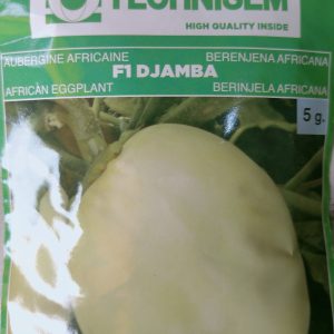 Semence hybride d’AUBERGINE AFRICAINE F1 DJAMBA 5 gr
