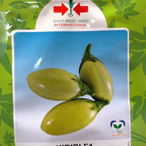 Semence hybride d&rsquo;AUBERGINE KIBIBI F1 100 graines
