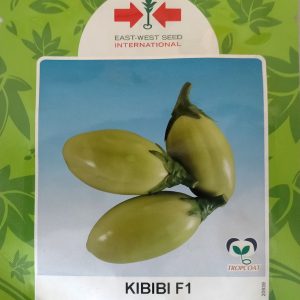 Semence hybride d’AUBERGINE KIBIBI F1 500 graines