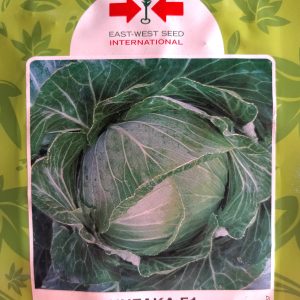 Semence hybride de CHOU NUZAKA F1 1000 grains