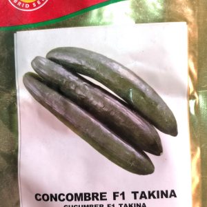 Semence hybride de CONCOMBRE HYBRIDE F1 TAKINA 1 gr