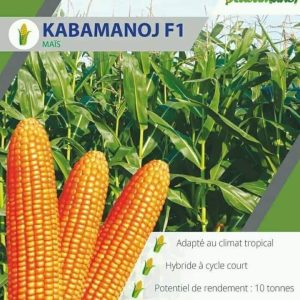 Semence hybride de MAIS JAUNE KABAMANOJ F1 5 kg