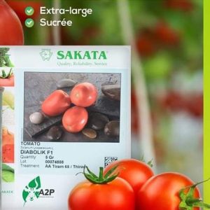 Semence hybride de TOMATE DIABOLIK F1 5 gr