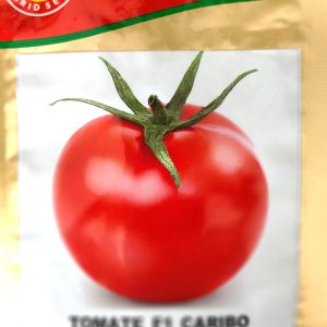 Semence hybride de TOMATE F1 CARIBO 1 gr