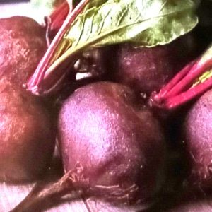 Semence de BETTERAVE SANGRIA