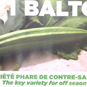 Semence hybride de GOMBO F1 BALTO Technisem