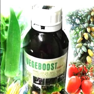 Engrais-fongicide foliaire biologique VEGEBOOST SIBRA 500 ml – Cultures maraichères