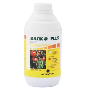 Fongicide liquide BANKO PLUS 650 SC 1 litre – Cultures maraichères